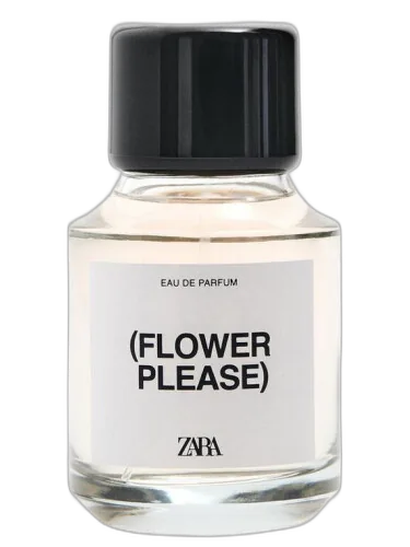 (flower Please) Zara by Zara