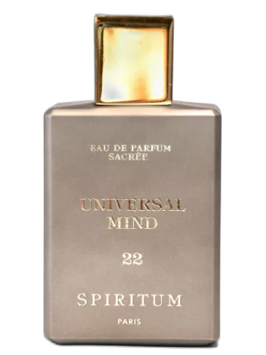 22 Universal Mind Spiritum