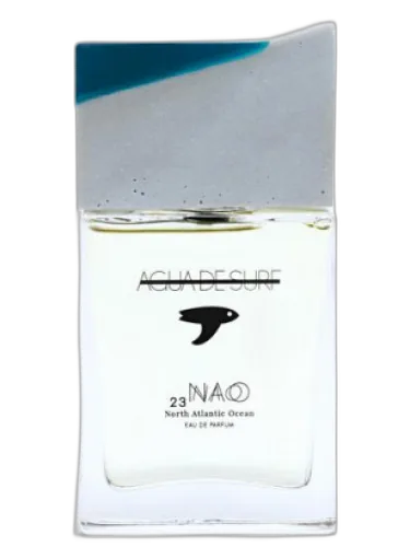 23nao North Atlantic Ocean Agua De Surf