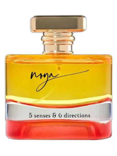 5 Senses & 6 Directions House Of Noya by House of Noya