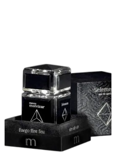 5elements Ramon Molvizar