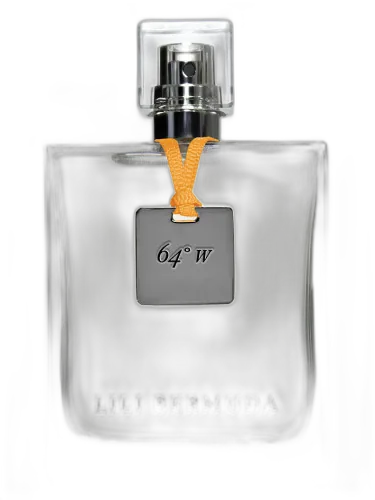 64 West Lili Bermuda by Lili Bermuda