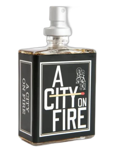 A City On Fire Imaginary Authors by Imaginary Authors