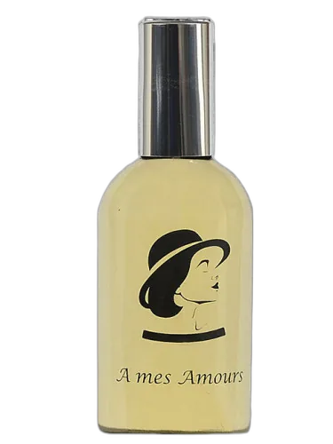 A Mes Amours Ann Steeger by Ann Steeger