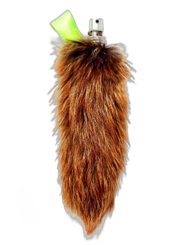 A Rebours Friendly Fur by Friendly Fur