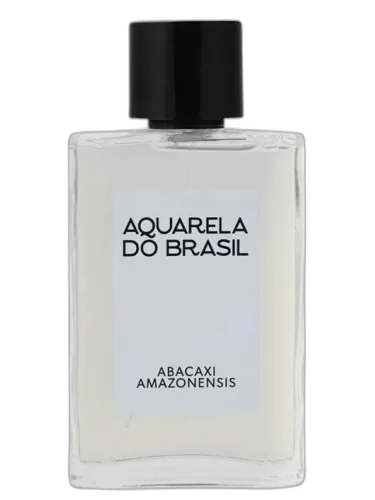 Abacaxi Amazonensis Aquarela Do Brasil by Aquarela do Brasil