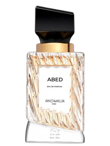 Abed Anomalia Paris by Anomalia Paris