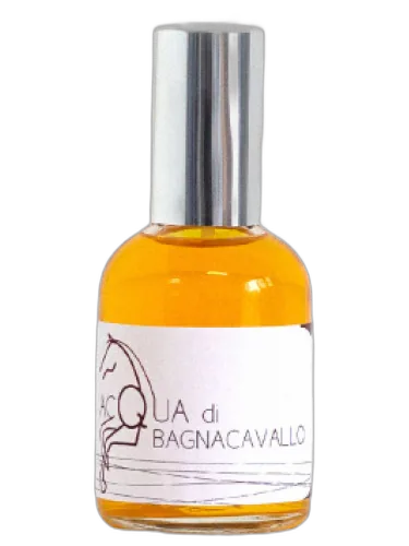 Acqua Di Bagnacavallo Olfattiva by Olfattiva