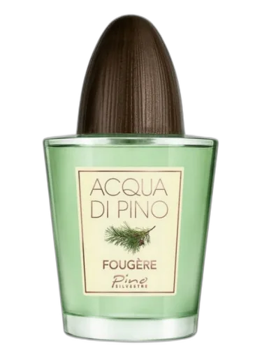 Acqua Di Pino Fougere Pino Silvestre by Pino Silvestre