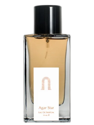 Agar Star Nshq by NSHQ