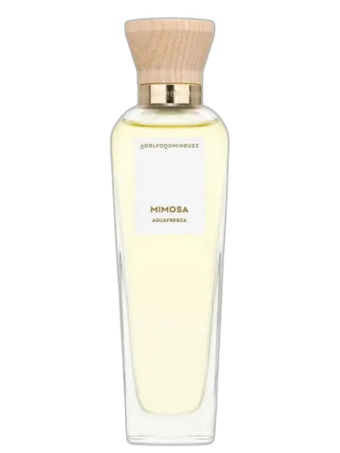 Agua Fresca De Mimosa Coriandro Adolfo Dominguez by Adolfo Dominguez
