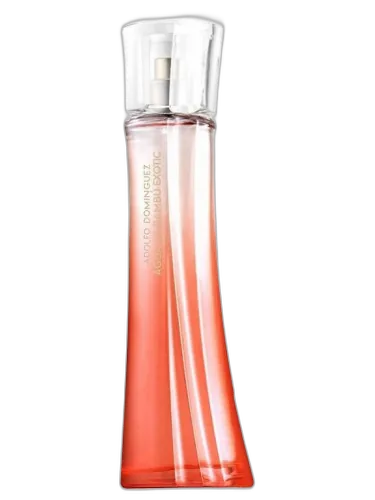 Agua De Bambu Exotic For Her Adolfo Dominguez by Adolfo Dominguez
