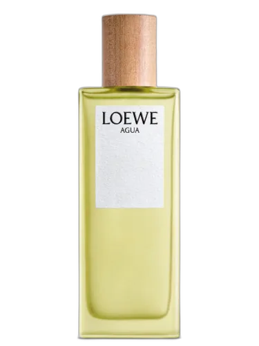 Agua De Loewe Loewe