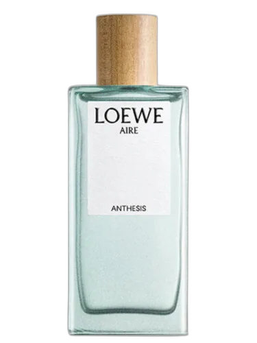 Aire Anthesis Loewe by Loewe