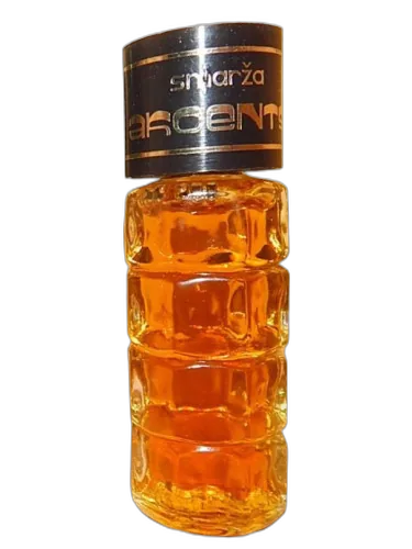 Akcents (акцент) Dzintars