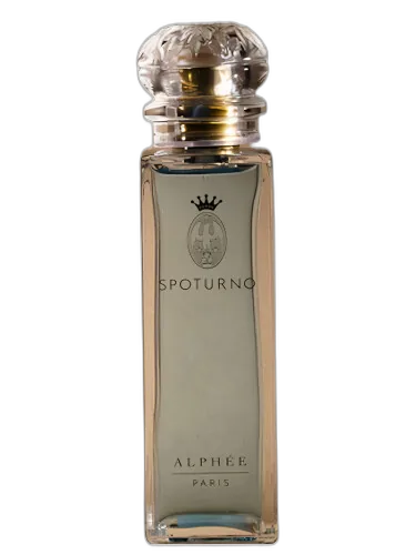 Alphée Spoturno by Spoturno