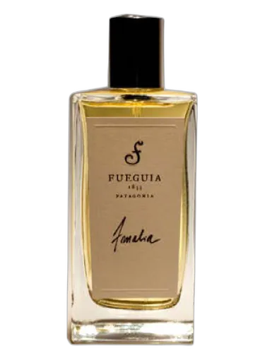 Amalia Primavera Fueguia 1833 by Fueguia 1833