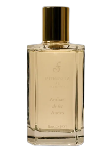 Ambar De Los Andes Fueguia 1833 by Fueguia 1833