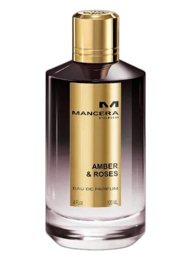 Amber & Roses Mancera