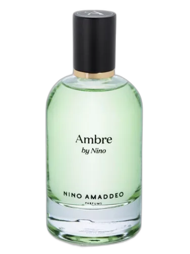 Amber By Nino Nino Amaddeo