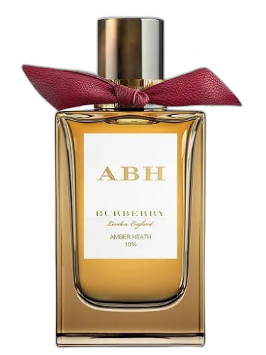 Amber Heath Burberry by Burberry