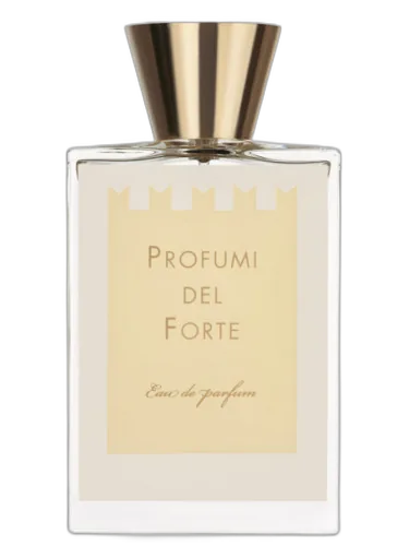 Ambra Mediterranea (versilia Vintage Ambra Mediterranea) Profumi Del Forte by Profumi del Forte