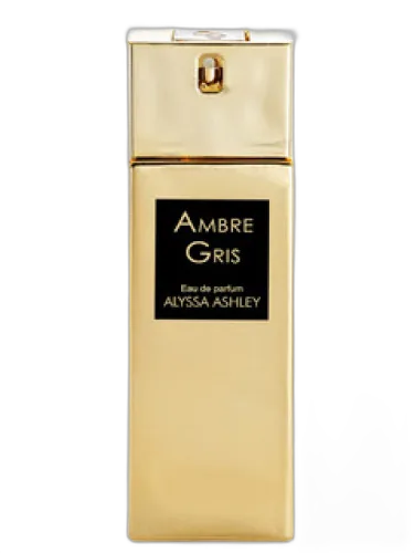 Ambre Gris Alyssa Ashley