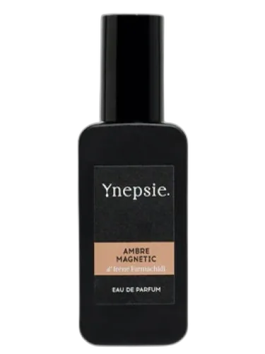 Ambre Magnetic Ynepsie by Ynepsie