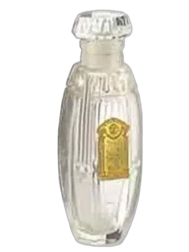 Ambre Romain Fendi