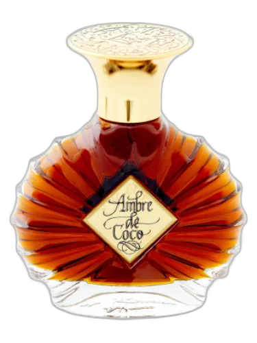 Ambre De Coco Areej Le Doré