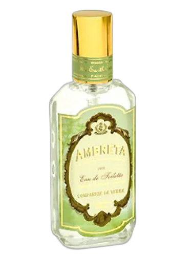 Ambreta Companhia Da Terra