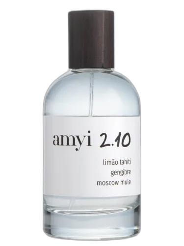Amyi 2.10 Amyi by Amyi