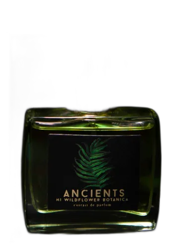 Ancients Hi Wildflower Botanica
