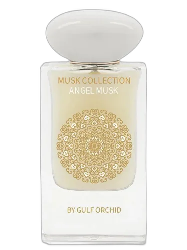 Angel Musk Gulf Orchid