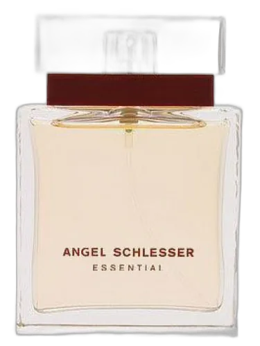 Angel Schlesser Essential Angel Schlesser