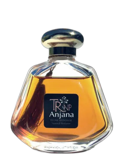 Anjana Trnp by TRNP
