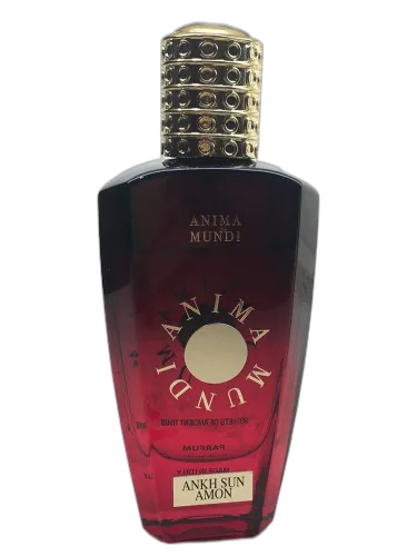 Ankh Sun Amon Anima Mundi by Anima Mundi