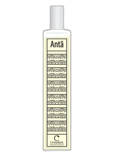 Antã Chamma Da Amazônia by Chamma da Amazônia