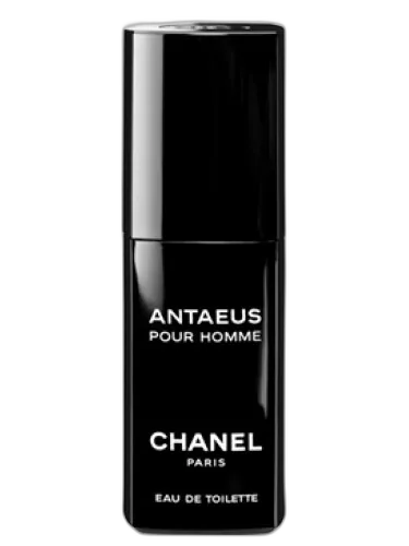 Antaeus Chanel by Chanel