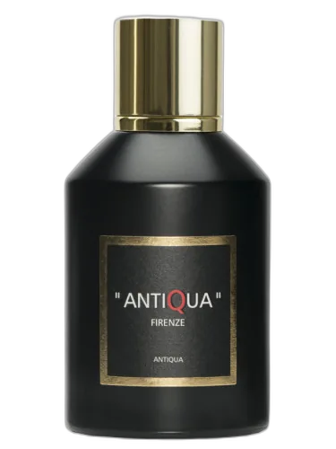 Antiqua Antiqua Firenze by Antiqua Firenze