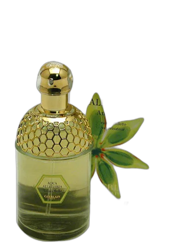 Aqua Allegoria Anisia Bella Guerlain by Guerlain
