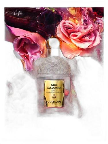 Aqua Allegoria Forte Rosa Palissandro Guerlain by Guerlain