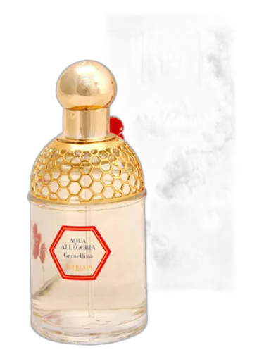 Aqua Allegoria Grosellina Guerlain by Guerlain