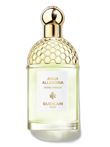 Aqua Allegoria Herba Fresca Guerlain by Guerlain