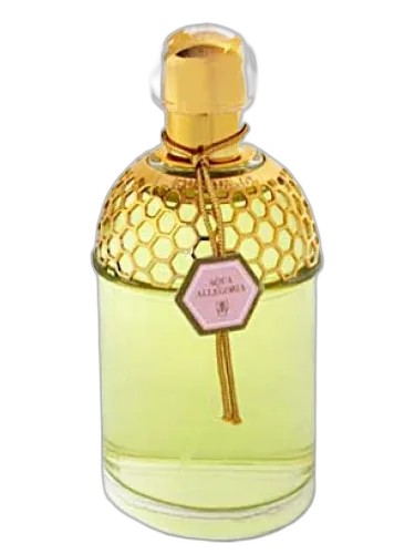 Aqua Allegoria Rosa Magnifica Guerlain by Guerlain