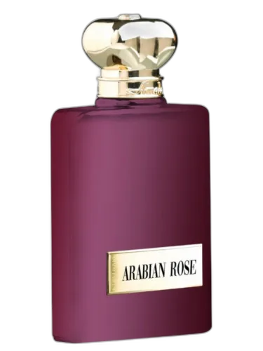 Arabian Rose Amado by Amado