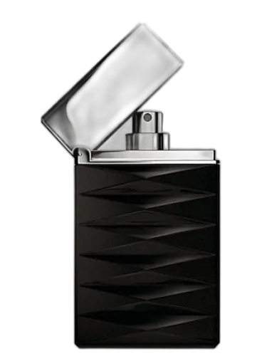 Armani Attitude Giorgio Armani