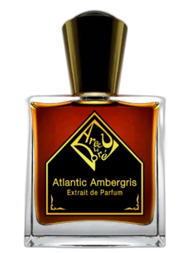 Atlantic Ambergris Areej Le Doré by Areej Le Doré