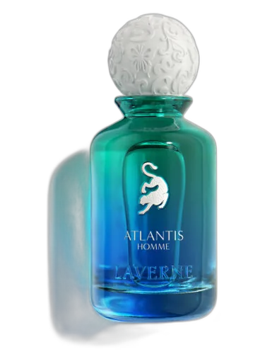 Atlantis Homme Laverne