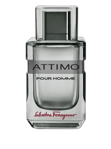 Attimo Pour Homme Salvatore Ferragamo
